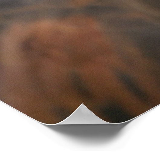 Poster van vogels 13 (Hoek)