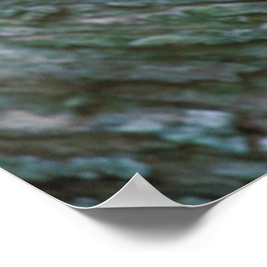 Poster van vogels 16 (Hoek)