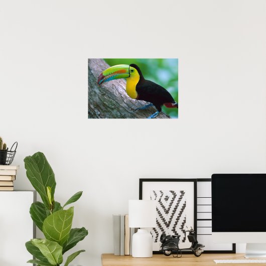 Poster van vogels 16 (Thuiskantoor)