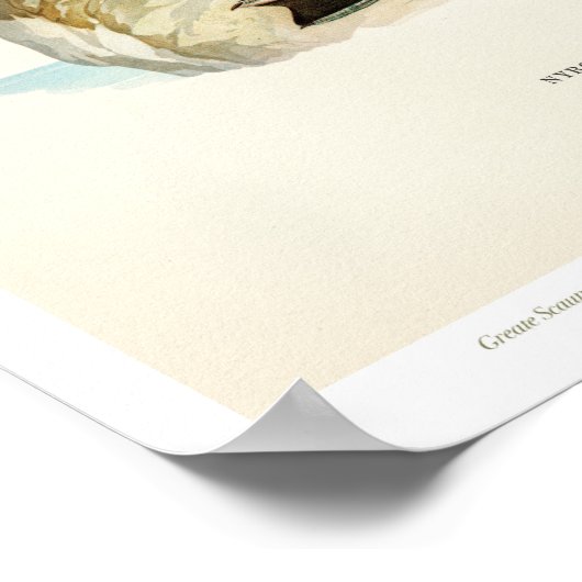  Poster van vogels - Groter licht (Hoek)