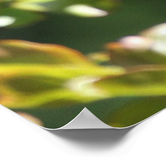 Poster van volwassen spotvogel en jonge spotvogel (Hoek)