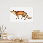 Poster van vos (Keuken)
