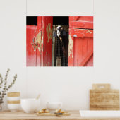 Poster van vreemde geiten (Keuken)