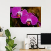 Poster van warme roze orchideeën (Thuiskantoor)