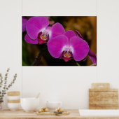 Poster van warme roze orchideeën (Keuken)