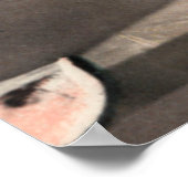  poster van watermeloenen (Hoek)