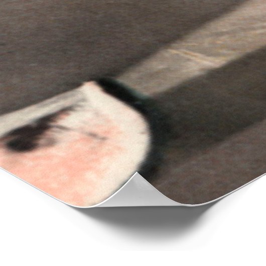 poster van watermeloenen (Hoek)