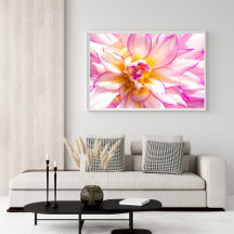 Poster van White en Roze Dahlia