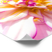 Poster van White en Roze Dahlia (Hoek)