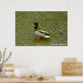 Poster van wilde eenden (Keuken)