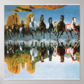 Poster van wilde paarden (Voorkant)