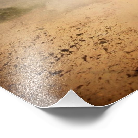 poster van wilde paarden (Hoek)