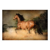 poster van wilde paarden (Voorkant)