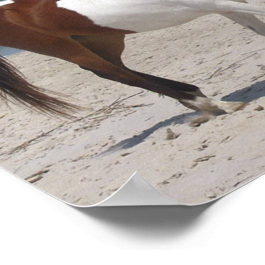 Poster van wilde paarden (Hoek)