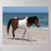 Poster van wilde paarden (Voorkant)