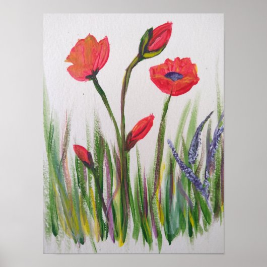 Poster van wilde papaver (Voorkant)