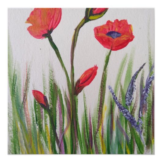 Poster van wilde papaver (Voorkant)