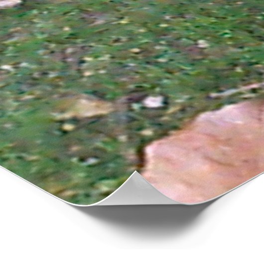 Poster van winkel (Hoek)