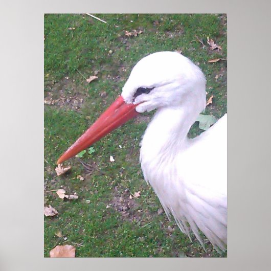 Poster van winkel (Voorkant)