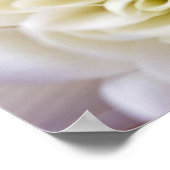 Poster van witte chyrsanthemumbloem (Hoek)