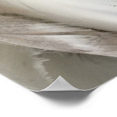 Poster van witte en zwarte veren (Hoek)