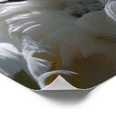 Poster van witte katkatoenvogel (Hoek)