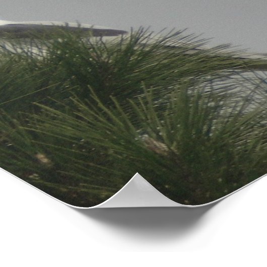 Poster van witte koolmiet (Hoek)