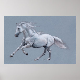 Poster van witte paarden