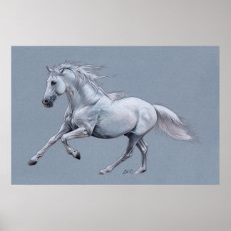 Poster van witte paarden