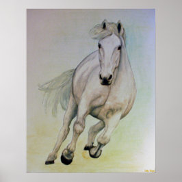 Poster van witte paarden
