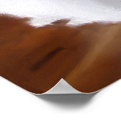 Poster van witte perzische katten (Hoek)