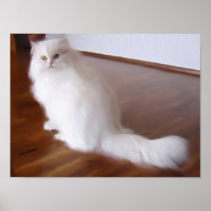 Poster van witte perzische katten