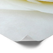 Poster van witte rozenbloem (Hoek)
