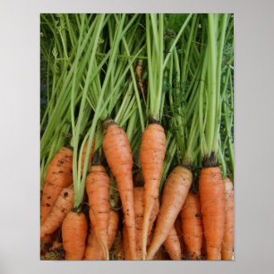Poster van wortelen