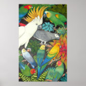 Poster van wortelen en bromeliades (Voorkant)