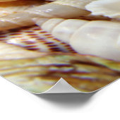 Poster van zeeschelpen (Hoek)