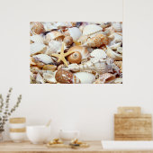 Poster van zeeschelpen (Keuken)