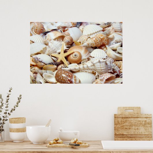 Poster van zeeschelpen (Keuken)