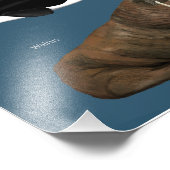 Poster van zeezoogdieren / wilde dieren (Hoek)