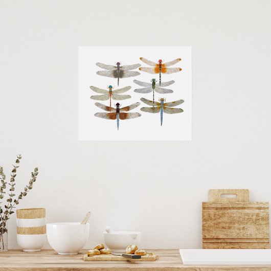 Poster van zes libellen (Keuken)