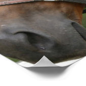 Poster van zoete kastanjepaarden (Hoek)