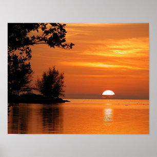 Poster van zonnemeerbomen in Florida
