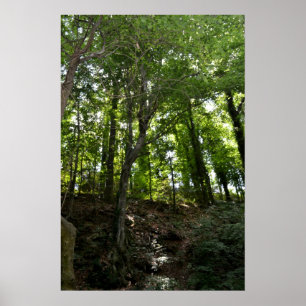 Poster van zwaaien en bomen