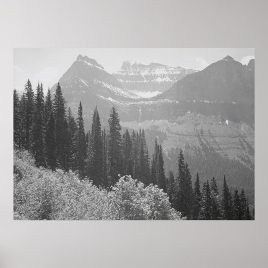 Poster van zwarte en witte bomen en bergen (Voorkant)
