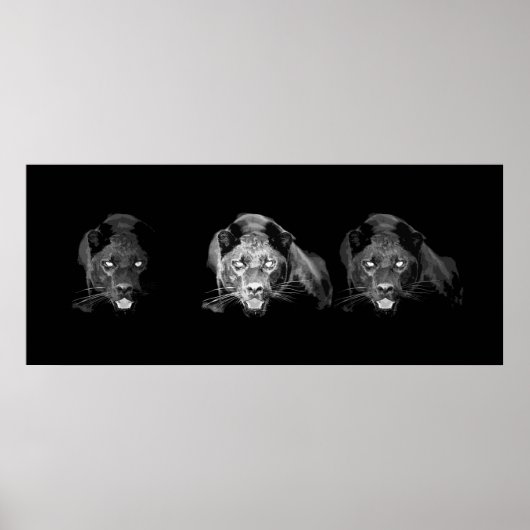 Poster van zwarte en witte jaguar (Voorkant)