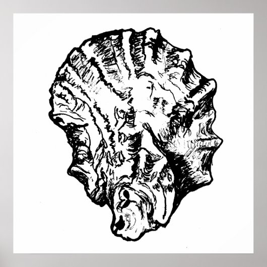 Poster van zwarte en witte oester Shell (Voorkant)