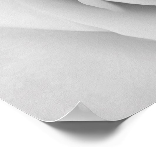 Poster van zwarte en witte rozenbloem (Hoek)