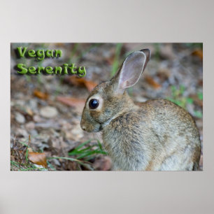 Poster Vegan Serenity Bunny