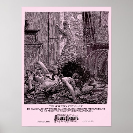 Poster Vengeance (Voorkant)