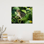 Poster Verborgen Draak Hagedis Australië ZIZZAGO (Keuken)